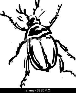 Hand Gezeichnete Geweihkäfer Vektor-Illustration Stock Vektor