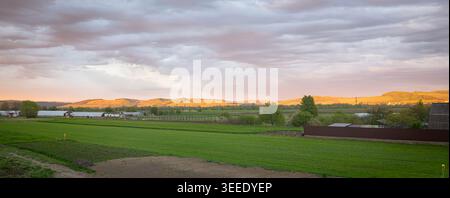 Ländliche Ackerlandschaften bei Sonnenuntergang mit sanften Hügeln, grünen Feldern und dramatischem bewölktem Himmel im Mures-Tal, im Zentrum von Siebenbürgen, Rumänien Stockfoto