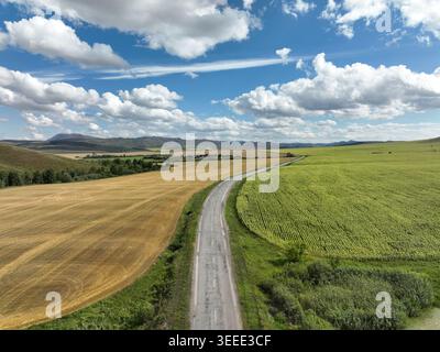 Aus der Vogelperspektive wird eine geschwungene Asphaltstraße erfasst, die über weite landwirtschaftliche Flächen mit kontrastreichen goldenen Weizen verläuft Stockfoto