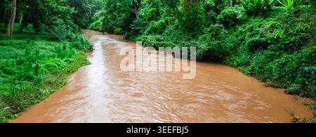 Der braune Ping River im Norden Thailands fließt durch den grünen Regenwald. Stockfoto