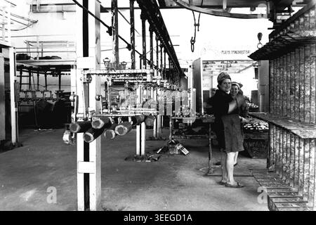 Slaviansk, 1983. In der Anker-Isolator Factory (AIZ). Ein komplexes, hängendes Fördersystem dominiert die Werkstatthalle, während zwei Arbeiterinnen mit Schürzen in der Nähe der Arbeitsstation auf der rechten Seite des Rahmens stehen. Dieses Vintage-Schwarz-weiß-Foto fängt die authentische Atmosphäre der Epoche ein und spiegelt die täglichen Aktivitäten und Industriekultur der Region während der Sowjetzeit wider. Es dient als wertvolles historisches Dokument der lokalen Gemeinde, bewahrt das visuelle Gedächtnis und zeigt einen friedlichen Donbass. Stockfoto