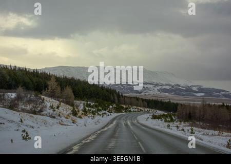 Leere Asphaltstraße, die sich durch eine winterliche Waldlandschaft mit schneebedeckten Bergen unter einem stimmungsvollen Himmel in Island schlängelt. Stockfoto