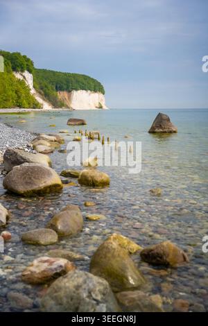 Berühmte weiße Kreidefelsen und felsige Ostseeküste im Nationalpark Jasmund auf der Insel Rügen. Legendäres Naturdenkmal und Küstenreise Stockfoto