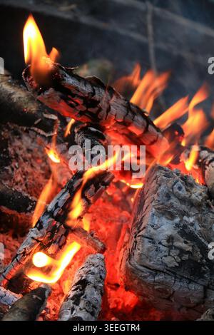 Schwelendes Feuerholz und glühende Embers aus nächster Nähe Stockfoto