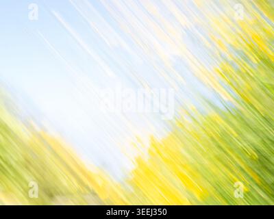 Abstrakter Frühlingshintergrund mit sanfter Bewegungsunschärfe und gelben Blumen Stockfoto