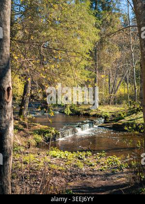 Die Treppoja-Kaskade fließt durch den sonnendurchfluteten Frühlingswald in Estland mit frischem grünen Laub und kleinem Wasserfall Stockfoto