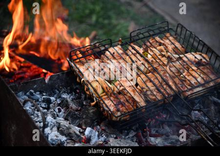 Eine Gruppe von Freunden, die draußen Party machen. Konzentrieren Sie sich auf Barbecue-Grill mit Speisen. Platz für Text Stockfoto
