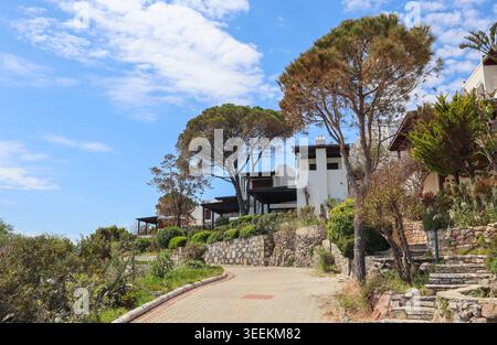 Weiß getünchte Villen mit üppiger mediterraner Vegetation auf einem Hügel in Bitez, Bodrum, Türkei, mit einer asphaltierten Straße Stockfoto