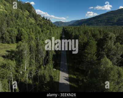 Aus der Vogelperspektive ist eine gerade Asphaltstraße zu sehen, die durch üppige grüne Wälder führt, umgeben von majestätischen Bergketten unter einem hellen Blau Stockfoto