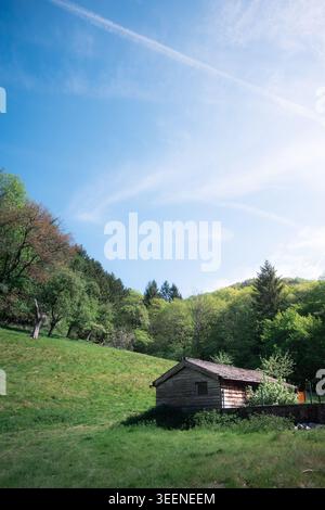 Rustikale Holzhütte auf einer grünen Bergwiese, umgeben von Wald auf dem Ninglinspo Wanderweg, Ardennen, Lüttich Provinz, Belgien. Stockfoto