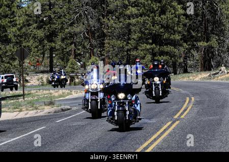 Eine Gruppe von Motorradfahrern fährt auf einer gewundenen Straße durch ein bewaldetes Gebiet, beeindruckende Felsformationen und Canyons mit verstreuten Bäumen im Bryce Canyon Natio Stockfoto