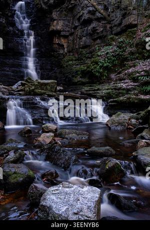Mill Gill Force Wasserfall, der über gestufte Kalksteinfelsen in Wensleydale stürzt Stockfoto