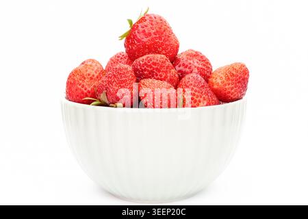 Frische, reife Erdbeeren in einer weißen Keramikschale, isoliert auf weißem Hintergrund Stockfoto