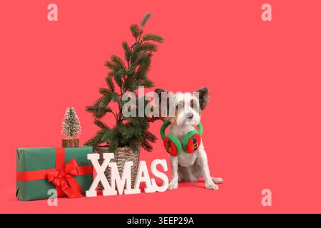 Niedlicher Biewer Terrier Hund mit Weihnachtsbaum, Geschenk und Dekor auf rotem Hintergrund Stockfoto
