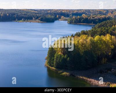 Aus der Vogelperspektive auf einen ruhigen blauen See, umgeben von dichten Herbstwäldern mit gelbem und grünem Laub Litauen. Stockfoto