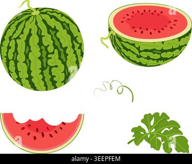Set mit Wassermelonen-Illustrationen mit ganzen Früchten, halbem Stück, gebissener Scheibe und grünen Blättern. Niedlicher flacher Vektor-Stil, perfekt für Sommer-Design Stock Vektor