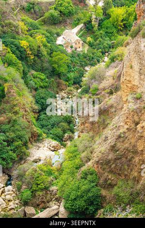 Blick aus einem hohen Winkel auf einen felsigen Canyon mit dichter grüner Vegetation und ein kleines Haus neben einem schmalen Bach in der Nähe von Ronda in Andalusien, Spanien. Steile Klippen, s Stockfoto