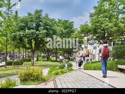 Die Menschen genießen einen sonnigen Spaziergang entlang der üppigen, von Bäumen gesäumten Wege und alten Eisenbahnschienen von Yeonnam-dong. Es fängt eine erfrischende urbane Parkatmosphäre ein. Stockfoto