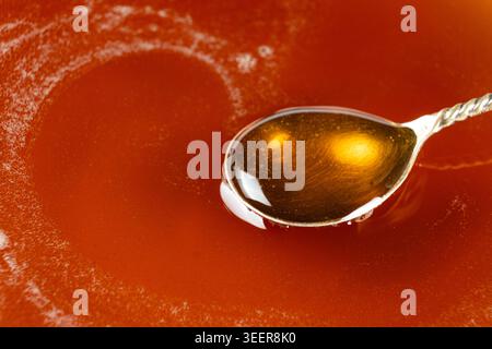 Löffel gefüllt mit goldenem Ahornsirup Stockfoto