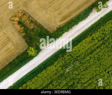 Aus der Vogelperspektive einer weißen Feldstraße, die durch grüne Kulturen und gepflügte Felder im Valdarno-Tal in Florenz, Toskana, Italien führt. Stockfoto