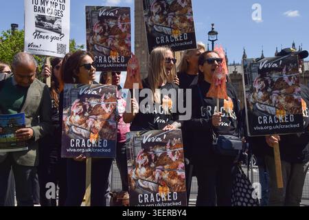 London, Großbritannien. Mai 2026. Aktivisten der Veganer- und Tierrechtskampagne Viva halten Plakate auf dem Parlamentsplatz, während sie die Regierung auffordern, Käfige für Hühner zu verbieten. Mehr als sieben Millionen Hennen verbringen ihr Leben in engen Käfigen auf Fabrikfarmen. Quelle: Vuk Valcic/Alamy Live News Stockfoto