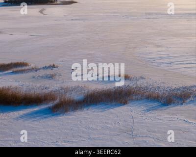 Aus der Vogelperspektive auf einem riesigen gefrorenen See mit trockenem Schilf und Fußspuren in Litauen. Stockfoto
