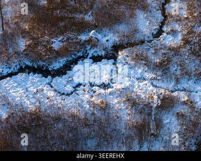 Aus der Vogelperspektive auf einen kleinen Bach, der sich durch schneebedecktes Schilf und trockene Wintervegetation unter hellem Sonnenlicht schlängelt. Litauen. Stockfoto