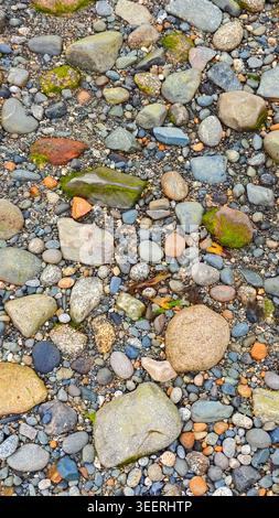 Boden bedeckt mit vielen Felsen in verschiedenen Größen, Formen und Farben. Zu den Texturen gehören glatte Steine und raue Oberflächen bei diffusem Licht. Natürliche bac Stockfoto