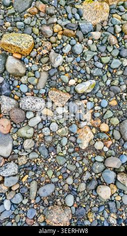 Nahaufnahme zeigt zahlreiche Kieselsteine in verschiedenen Größen und Farben. Nasses Aussehen, Erdtöne sowie gelbe und blaue Flecken. Idealer Hintergrund oder Textur hinzufügen n Stockfoto