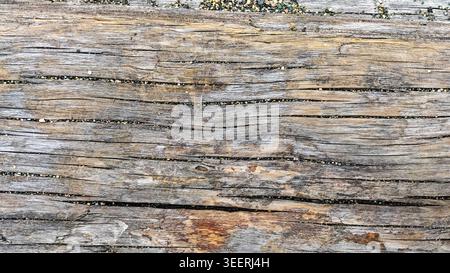 Detaillierte Aufnahme zeigt eine Nahaufnahme von altem Holz und zeigt Körner und Risse. Erdfarbene Steine sorgen für eine körnige Textur. Weiches natürliches Licht sorgt für mehr Bewegungsfreiheit Stockfoto