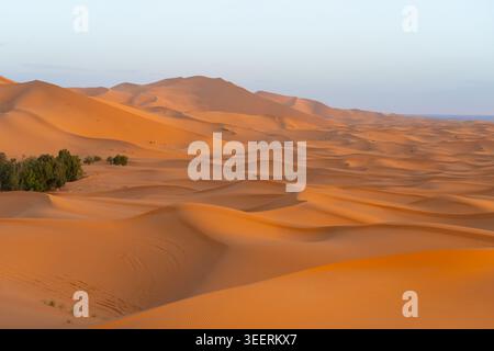 Blick auf die Sahara-Wüste bei Sonnenuntergang in Marokko, Afrika. Die Sahara-Wüste ist die größte heiße Wüste der Welt. Stockfoto