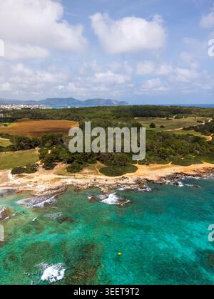 Aus der Vogelperspektive auf die felsige Küste und das türkisfarbene Mittelmeer, das an einen üppigen grünen Wald in Sa Coma, Balearen, Spanien grenzt. Stockfoto