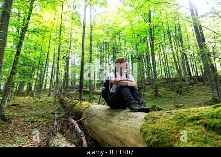 Wanderer auf einem Bärenwanderweg im Urwald des Koceski rog, erkunden den Wald rajhenav und den Gipfel des veliki rog, sitzend auf Baumstämmen, slowenien Stockfoto