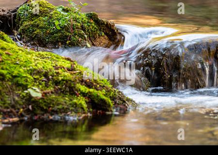 Fließendes Wasser über Mossy Rocks – kleiner Wasserfall im Wald Stockfoto