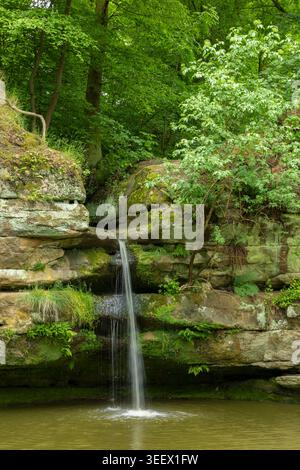 Wasserfall, der über moosige Sandsteinfelsen in einen grünen Waldpool fließt, Stvolinky Stockfoto