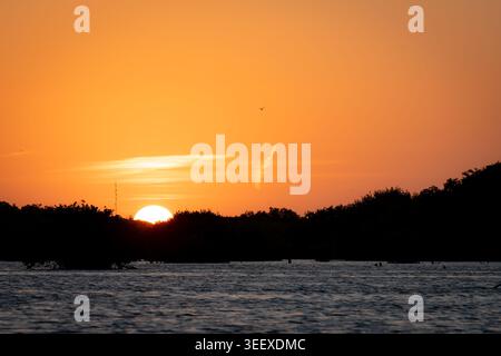 Ruhige Landschaft mit einem glühenden Sonnenuntergang über Küstenmangroven und ruhigen Feuchtgewässern. Der warme orangefarbene Himmel bildet einen schönen Kontrast zum dunklen Si Stockfoto