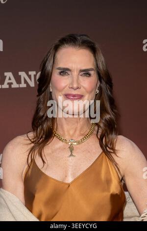 New York, Usa. Mai 2026. Brooke Shields nimmt am 12. Mai 2026 in New York City an Paramount's 'Dutton Ranch' Premiere auf dem AMC Lincoln Square 13 Teil. (Foto: Ron Adar/SOPA Images/SIPA USA) Credit: SIPA USA/Alamy Live News Stockfoto