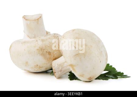 Champignon-Pilze und Petersilie isoliert auf weißem Hintergrund Stockfoto