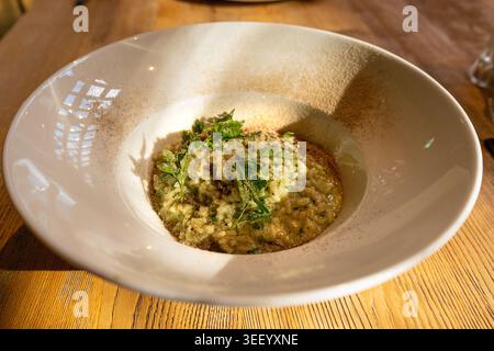 Pilz-Risotto auf elegantem Restaurant-Teller, Porcini Pilze Rissoto, köstliches italienisches Risoto-Mittagessen, cremige Reisgerichte, traditionelles Pilz-Risott Stockfoto