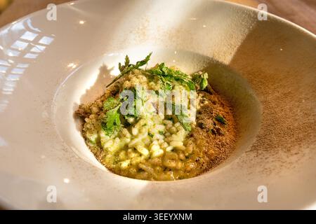 Pilz-Risotto auf elegantem Restaurant-Teller, Porcini Pilze Rissoto, köstliches italienisches Risoto-Mittagessen, cremige Reisgerichte, traditionelles Pilz-Risott Stockfoto
