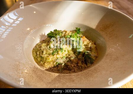 Pilz-Risotto auf elegantem Restaurant-Teller, Porcini Pilze Rissoto, köstliches italienisches Risoto-Mittagessen, cremige Reisgerichte, traditionelles Pilz-Risott Stockfoto
