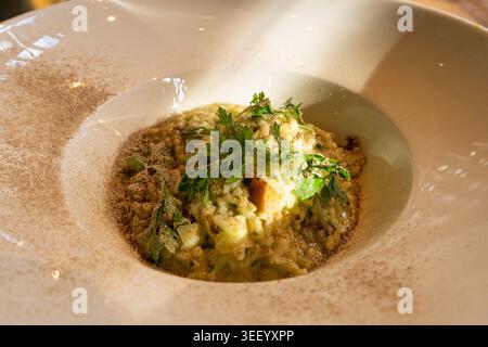 Pilz-Risotto auf elegantem Restaurant-Teller, Porcini Pilze Rissoto, köstliches italienisches Risoto-Mittagessen, cremige Reisgerichte, traditionelles Pilz-Risott Stockfoto