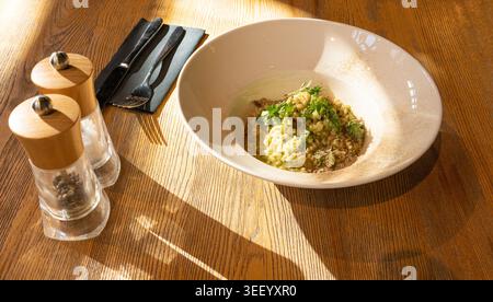 Pilz-Risotto auf elegantem Restaurant-Teller, Porcini Pilze Rissoto, köstliches italienisches Risoto-Mittagessen, cremige Reisgerichte, traditionelles Pilz-Risott Stockfoto