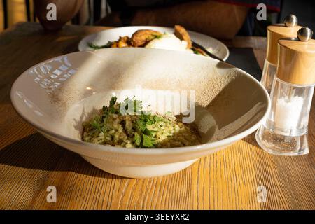 Pilz-Risotto auf elegantem Restaurant-Teller, Porcini Pilze Rissoto, köstliches italienisches Risoto-Mittagessen, cremige Reisgerichte, traditionelles Pilz-Risott Stockfoto