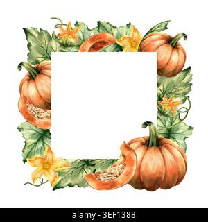 Quadratischer Rahmen mit Kürbis in Aquarellfarben. Botanische Herbstvorlage von reifem Orangengemüse. Ganze Früchte, in Scheiben geschnitten mit Samen, grünen Blättern, Ranken und Stockfoto