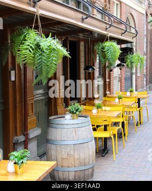 Gemütliche Café-Terrasse mit hängenden Farnen und Holzfässern. Gelbe Stühle säumen die kopfsteingepflasterte Straße. Grüne Pflanzen verleihen der bezaubernden Szene Frische. Wa Stockfoto