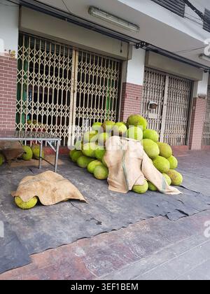 Großer Haufen frischer Jackfrüchte, ausgestellt vor einer lokalen Ladenfront in Südostasien. Tropischer Obstmarkt, Straßenhandelskonzept Stockfoto