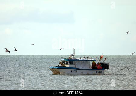 Ein kleines Katamaran-Fischerboot auf einem grauen Meer im Ärmelkanal, umgeben von Möwen, in der Nähe der Küste in Hythe, Kent, Großbritannien. Stockfoto