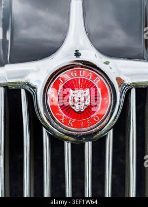 Nahaufnahme eines roten Jaguar XK 150-Emblems auf einem verchromten Kühlergrill eines klassischen britischen Sportwagens Stockfoto