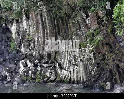 Nahaufnahme der Basaltsäulenverbindung in La Réunion, in Bassin la Mer, saint Benoit. Geologisches Muster Stockfoto